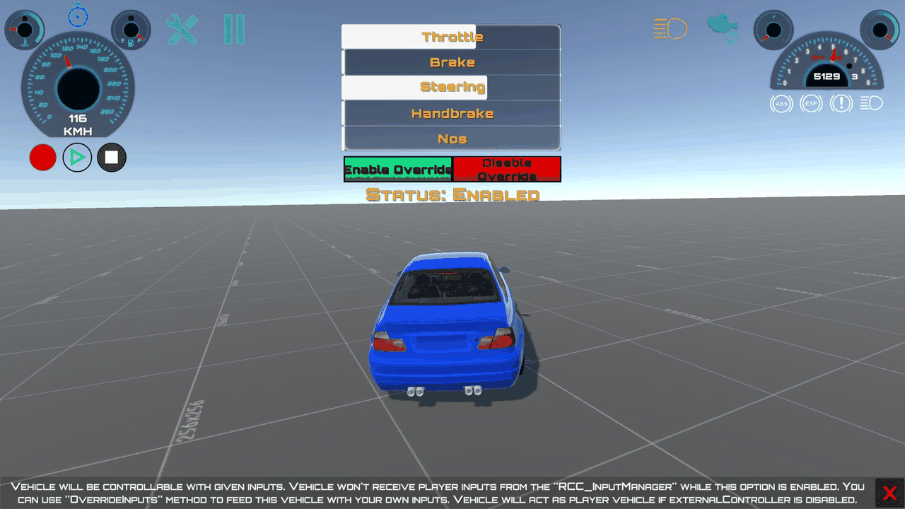 RCC_Blank_OverrideInputs with the override enabled: the car follows the Throttle and Steering sliders instead of the keyboard.