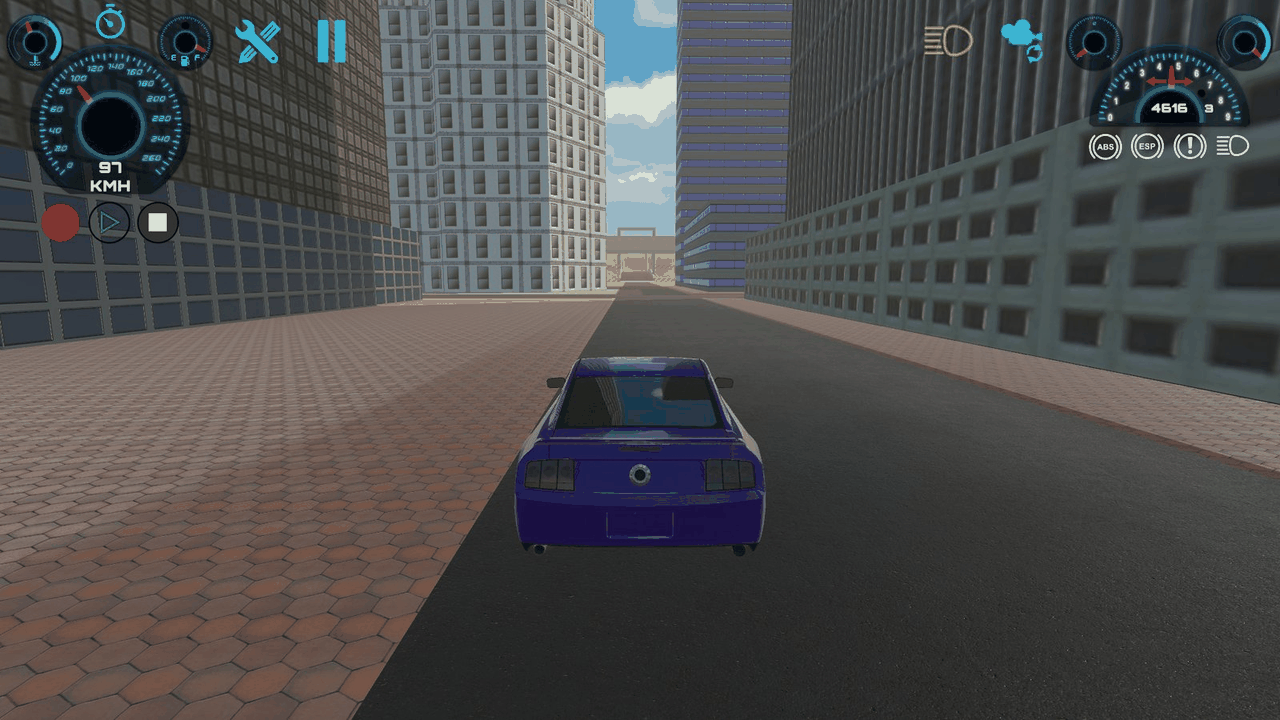 TPS: the chase camera behind the car. Always available.
